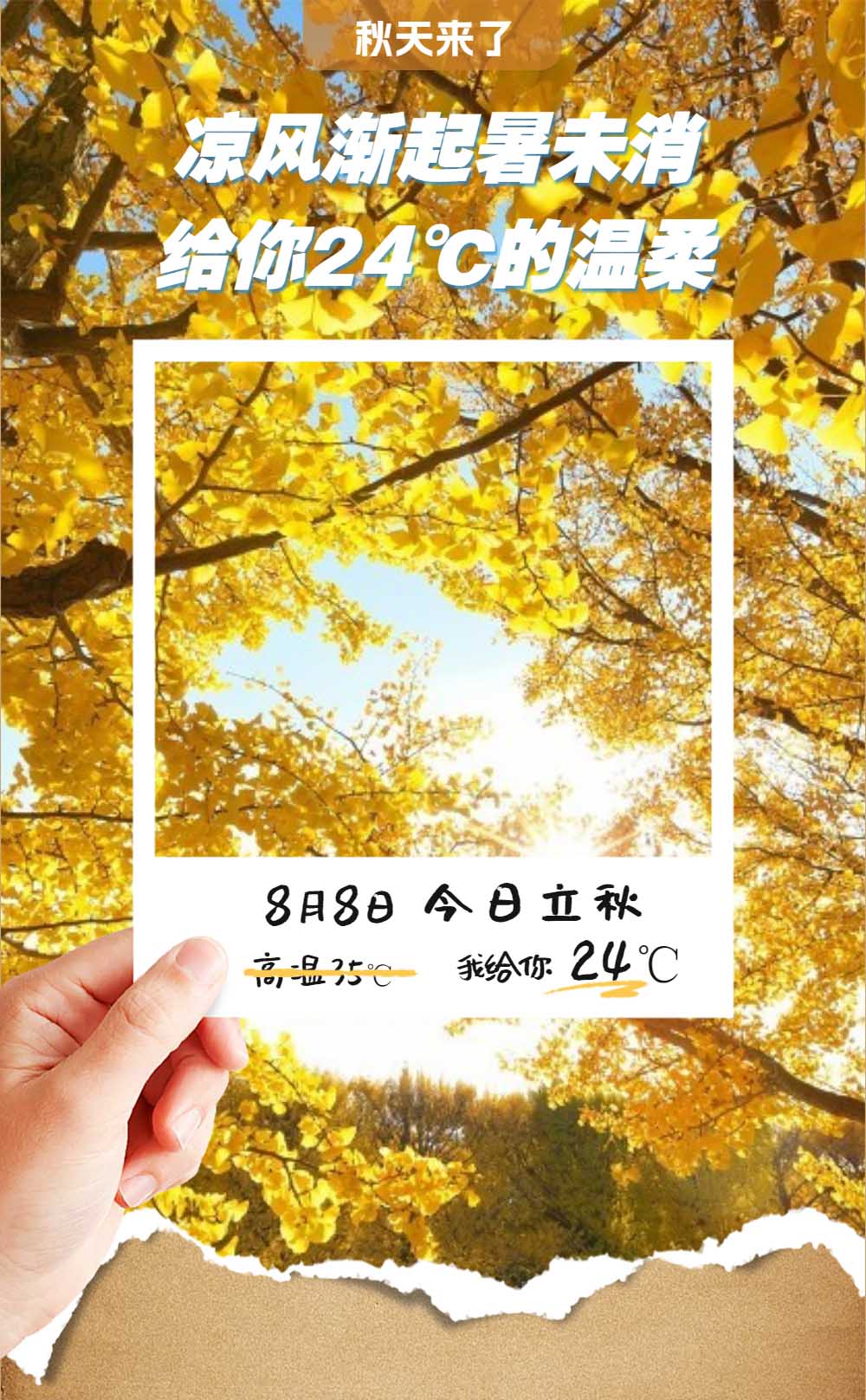宫七SPA