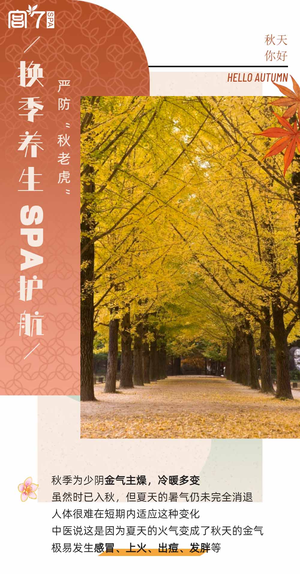 宫七SPA