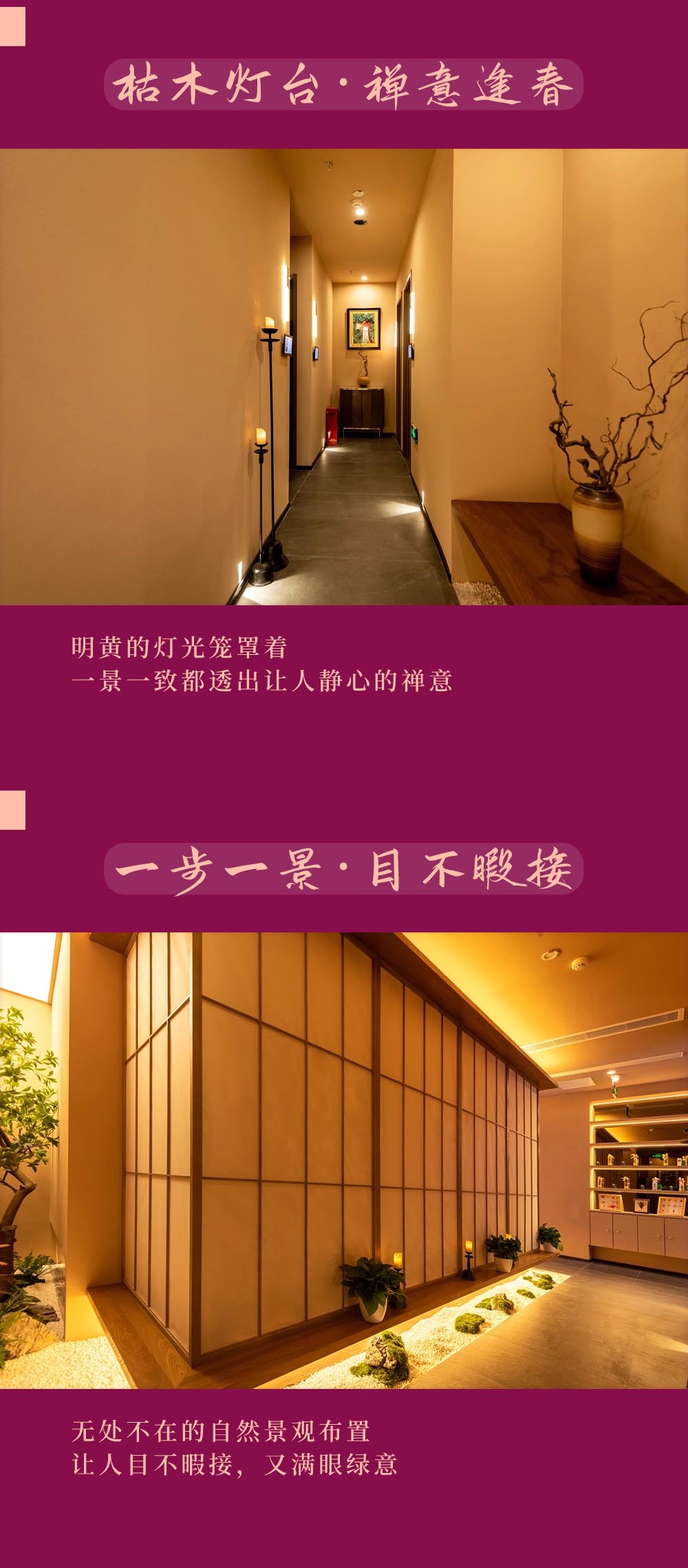 宫七SPA