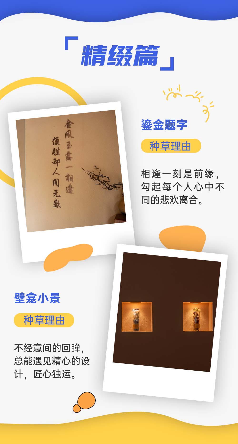 宫七SPA