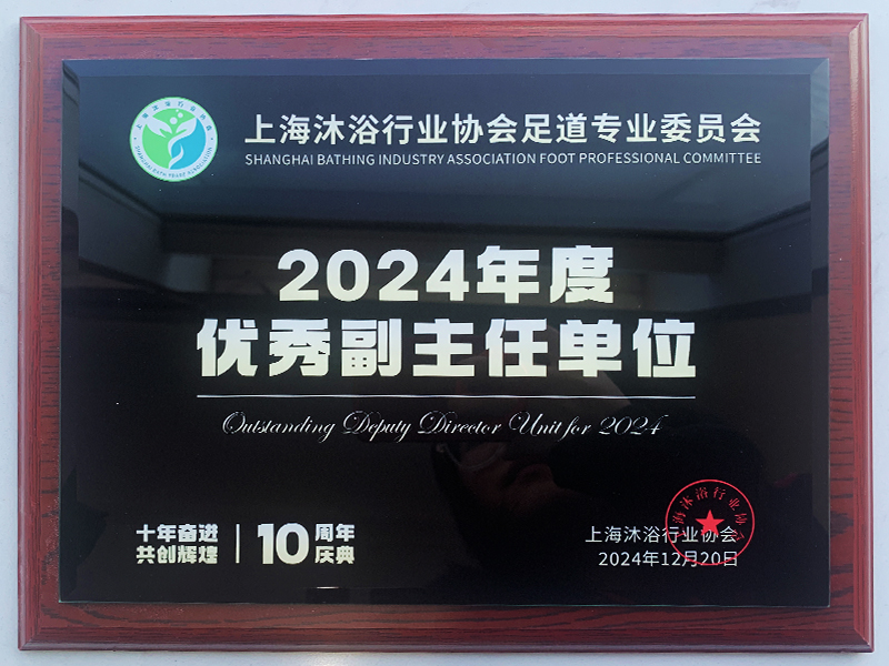 2024年度优秀副主任单位